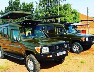Car Rental Uganda Extended Safari Landcruiser For Hire Car Rental Uganda Extended Safari Landcruiser For Hire